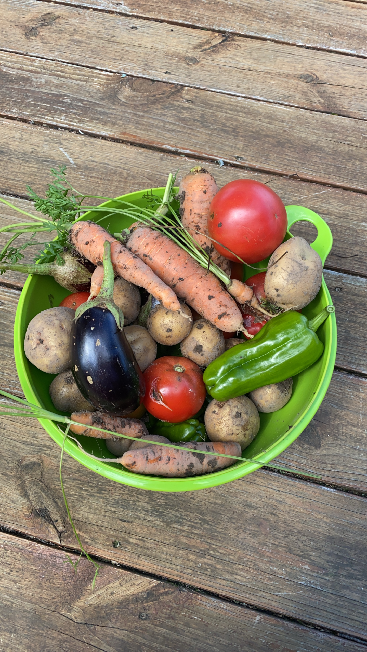 How to Save Money with Home Gardens